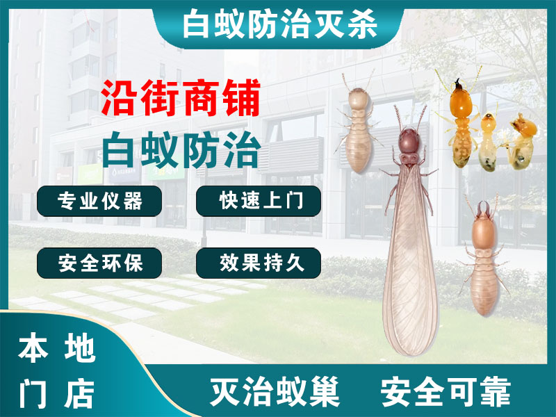 北仑沿街商铺白蚁防治