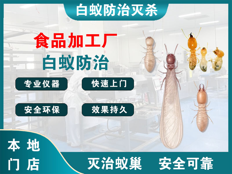 北仑食品加工厂白蚁防治