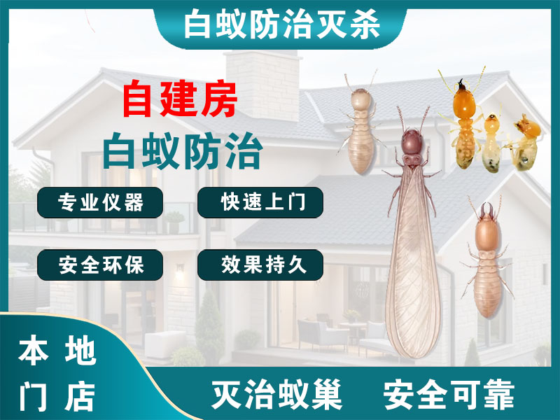 北仑自建房白蚁防治