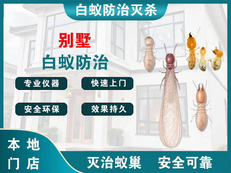 北仑别墅白蚁防治